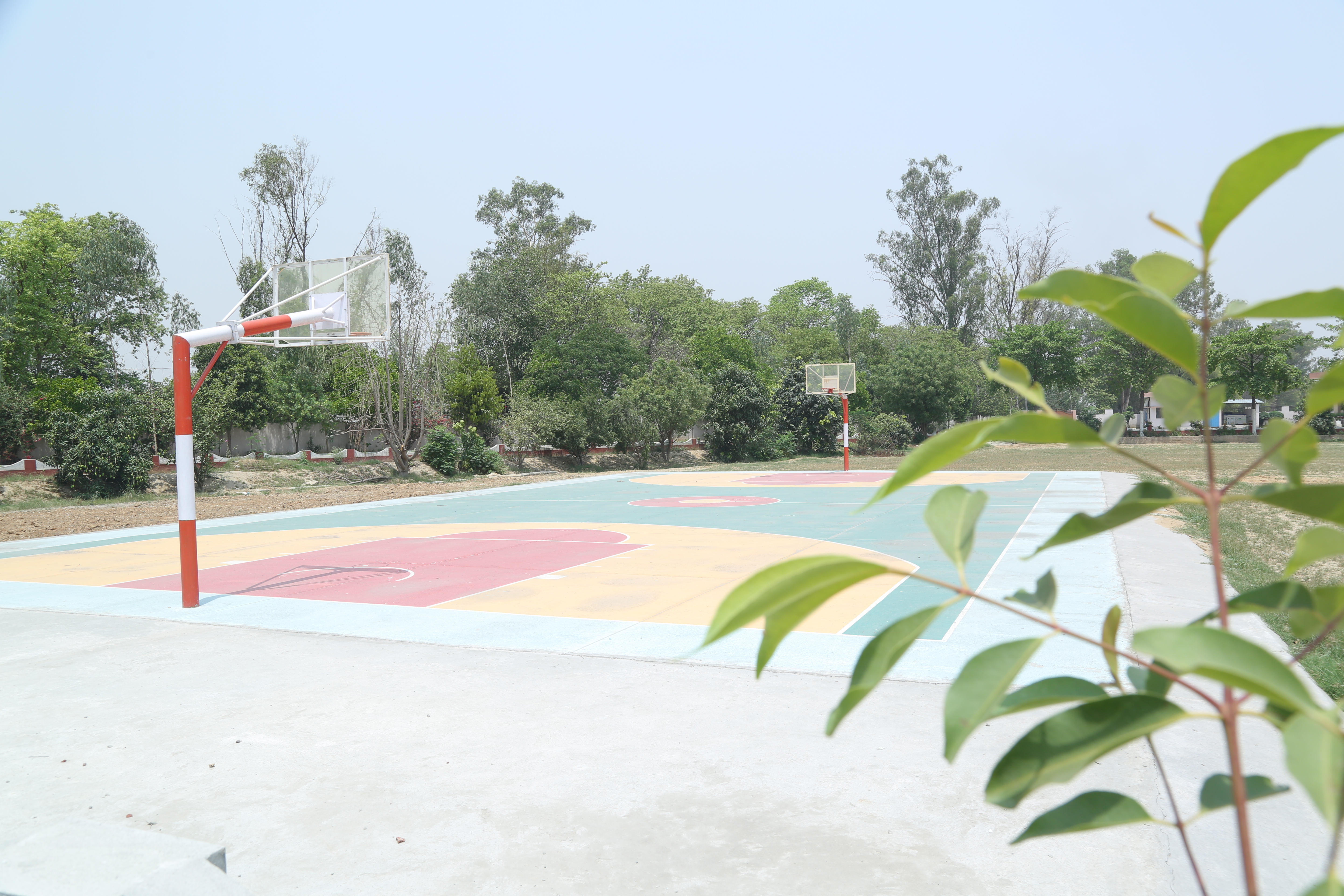 Sports Complex & Grounds 2
